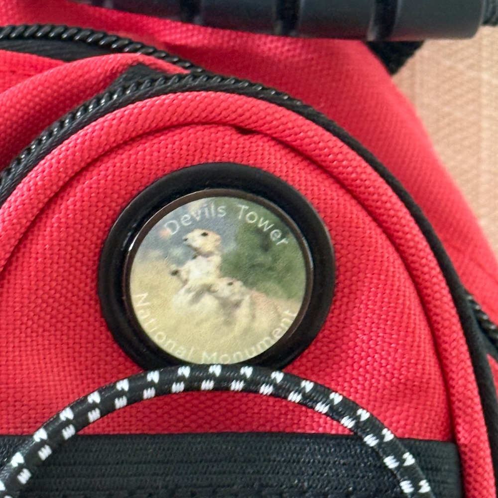 Mini Backpack Crossbody From Devil's Tower Monume… - image 5